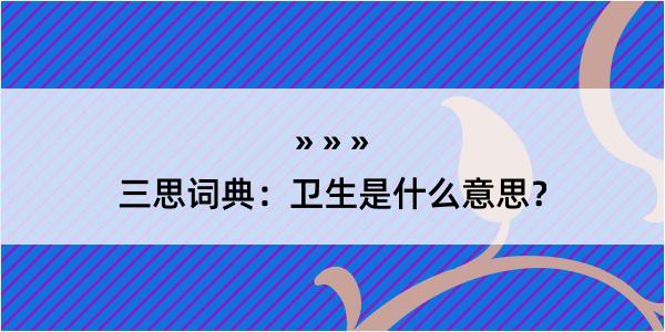 三思词典：卫生是什么意思？