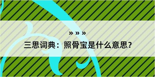 三思词典：照骨宝是什么意思？