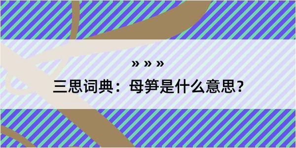 三思词典：母笋是什么意思？