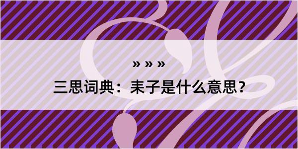 三思词典：耒子是什么意思？