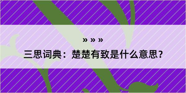 三思词典：楚楚有致是什么意思？