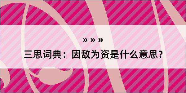 三思词典：因敌为资是什么意思？