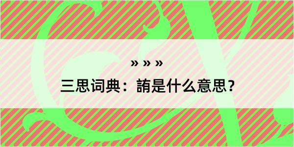 三思词典：詴是什么意思？