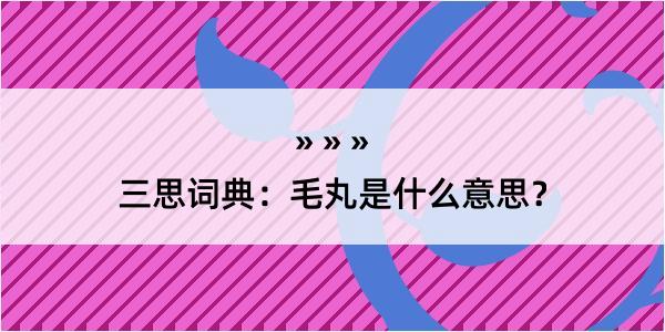 三思词典：毛丸是什么意思？