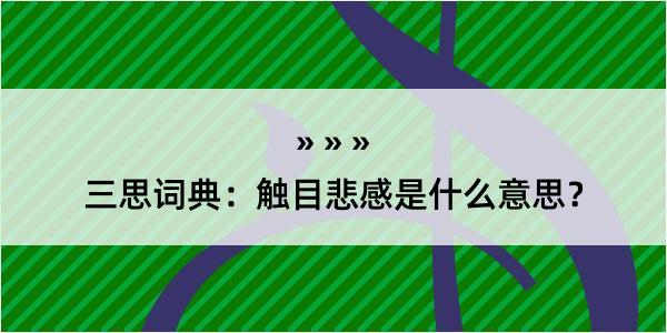 三思词典：触目悲感是什么意思？