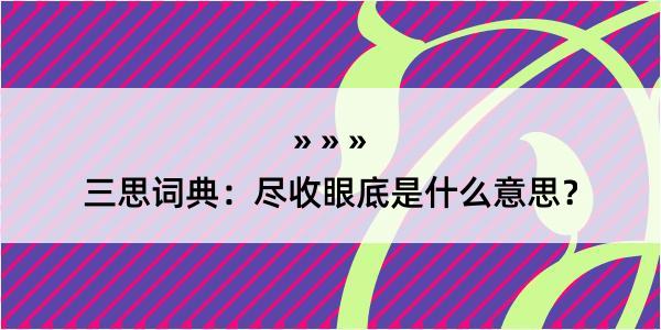 三思词典：尽收眼底是什么意思？