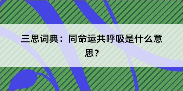 三思词典：同命运共呼吸是什么意思？