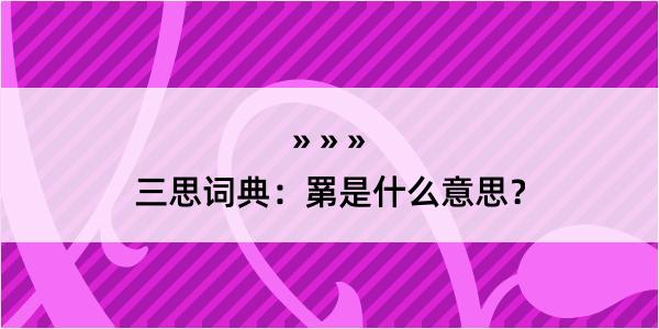 三思词典：罤是什么意思？