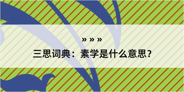 三思词典：素学是什么意思？