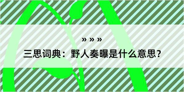 三思词典：野人奏曝是什么意思？