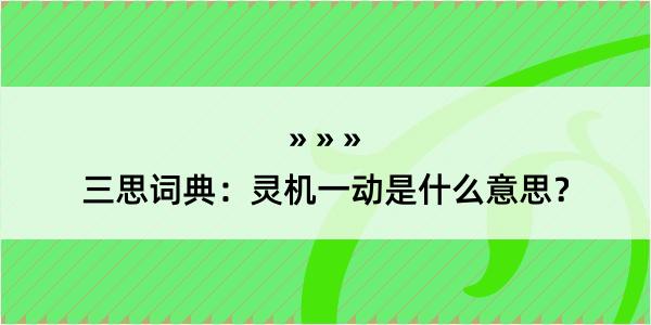 三思词典：灵机一动是什么意思？