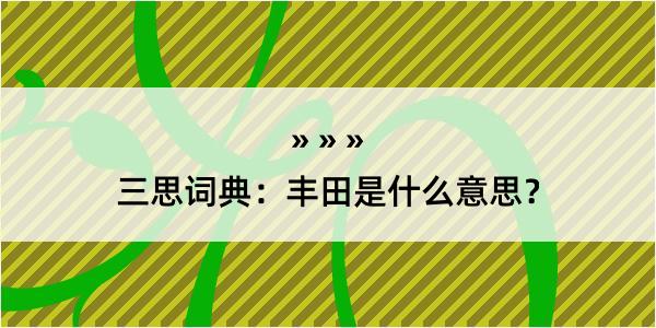 三思词典：丰田是什么意思？