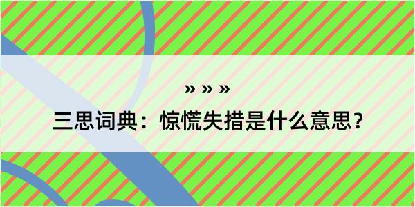 三思词典：惊慌失措是什么意思？