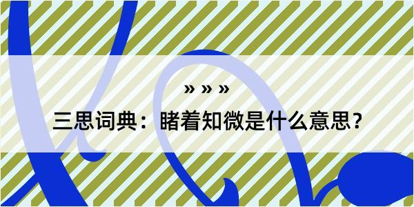 三思词典：睹着知微是什么意思？