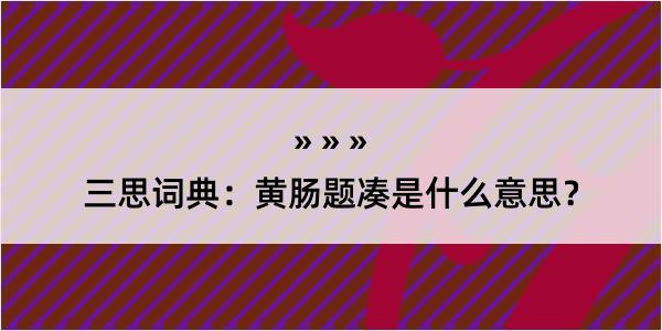 三思词典：黄肠题凑是什么意思？