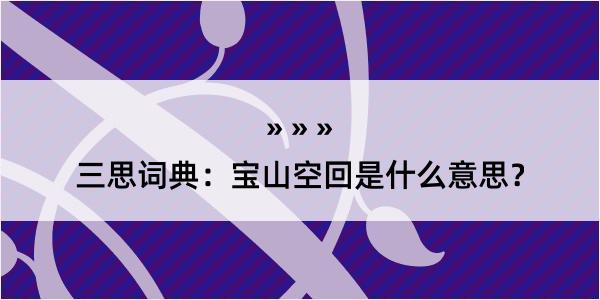 三思词典：宝山空回是什么意思？