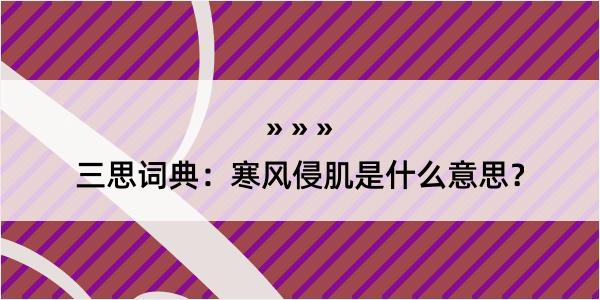 三思词典：寒风侵肌是什么意思？