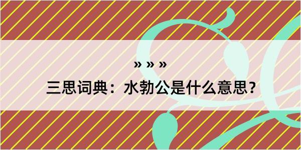 三思词典：水勃公是什么意思？