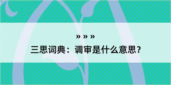 三思词典：调审是什么意思？