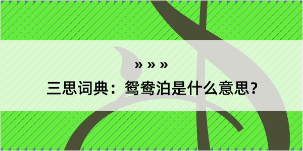 三思词典：鸳鸯泊是什么意思？