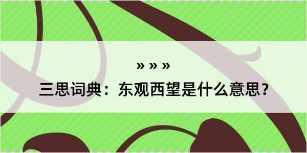 三思词典：东观西望是什么意思？