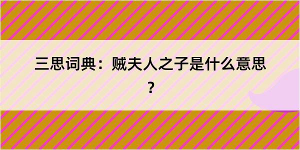 三思词典：贼夫人之子是什么意思？