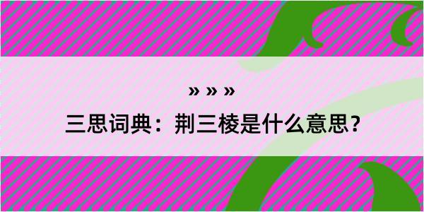 三思词典：荆三棱是什么意思？