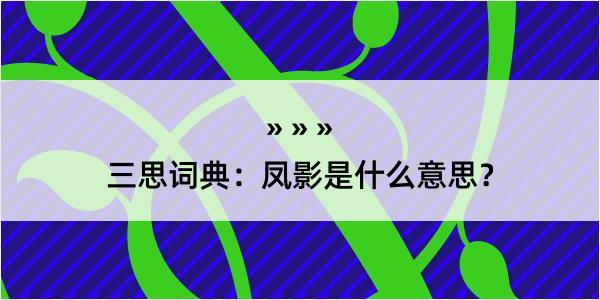 三思词典：凤影是什么意思？