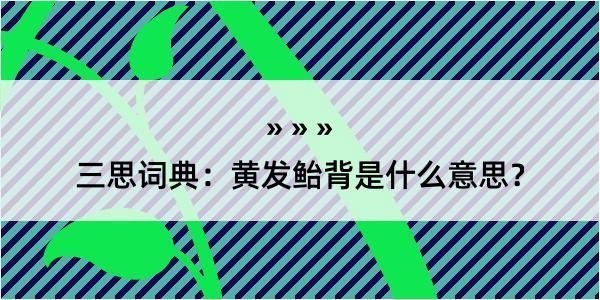 三思词典：黄发鲐背是什么意思？