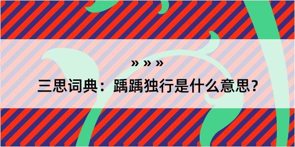 三思词典：踽踽独行是什么意思？