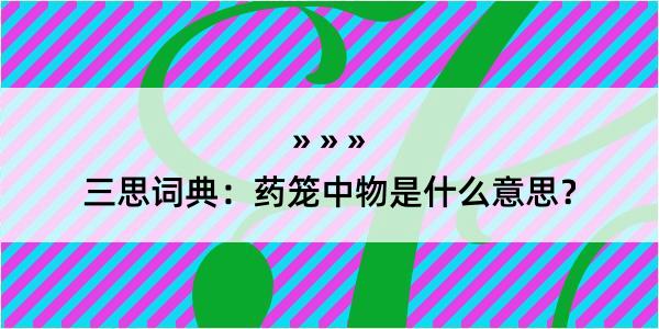 三思词典：药笼中物是什么意思？