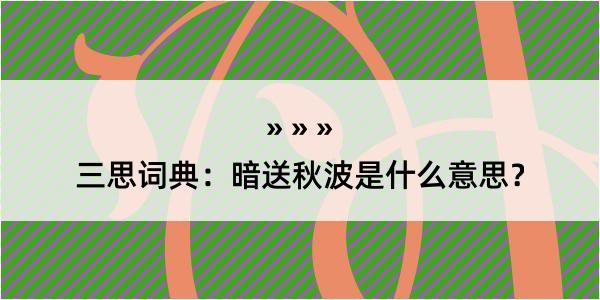 三思词典：暗送秋波是什么意思？