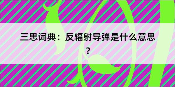 三思词典：反辐射导弹是什么意思？