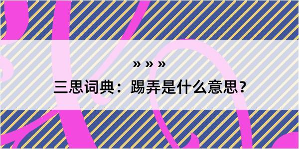 三思词典：踢弄是什么意思？