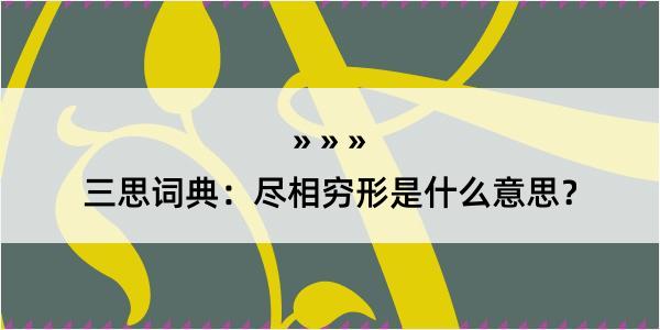 三思词典：尽相穷形是什么意思？