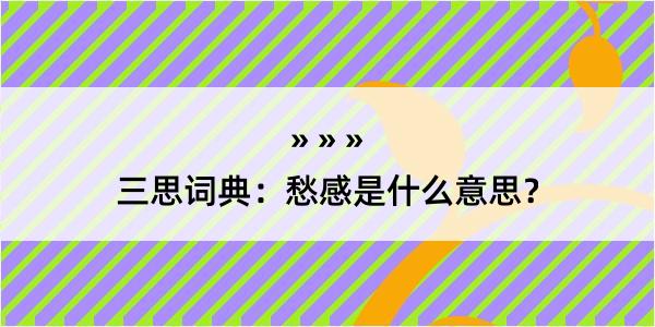 三思词典：愁感是什么意思？