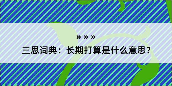 三思词典：长期打算是什么意思？