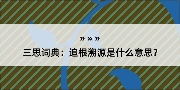 三思词典：追根溯源是什么意思？