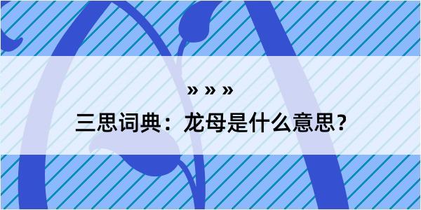 三思词典：龙母是什么意思？