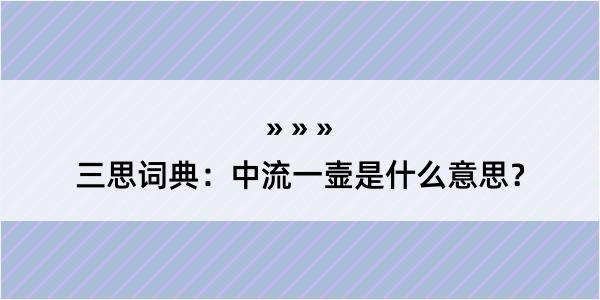 三思词典：中流一壸是什么意思？