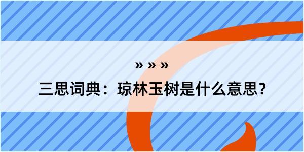 三思词典：琼林玉树是什么意思？