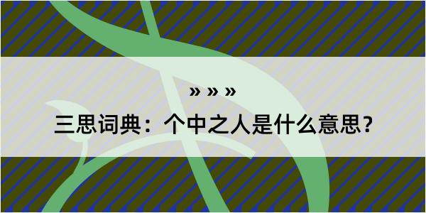 三思词典：个中之人是什么意思？