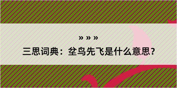 三思词典：坌鸟先飞是什么意思？