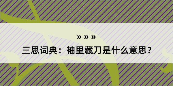 三思词典：袖里藏刀是什么意思？