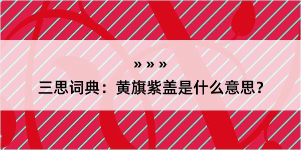 三思词典：黄旗紫盖是什么意思？