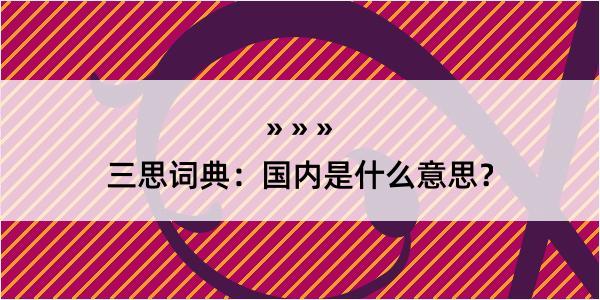 三思词典：国内是什么意思？