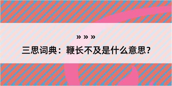 三思词典：鞭长不及是什么意思？