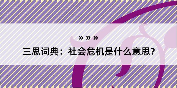 三思词典：社会危机是什么意思？