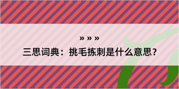 三思词典：挑毛拣刺是什么意思？