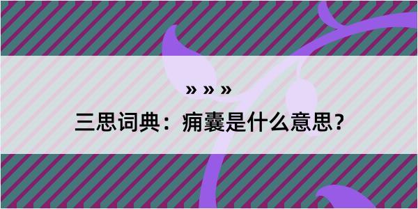 三思词典：痈囊是什么意思？